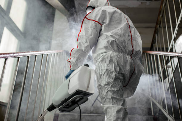 Trusted Pantego, TX Mold Removal Experts